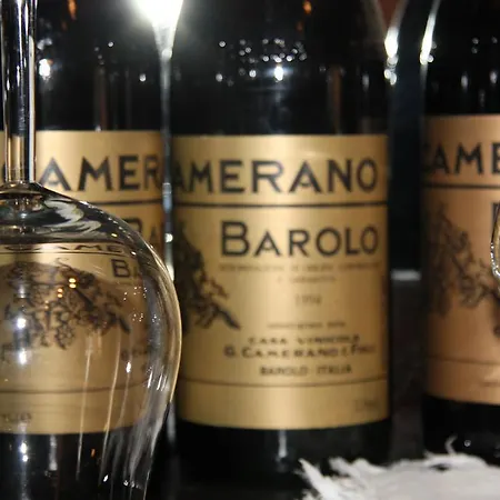 农家乐 La Terrazza Sul Bosco 巴罗洛