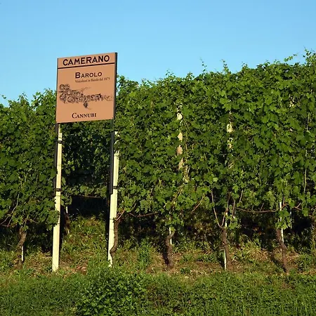 La Terrazza Sul Bosco Barolo