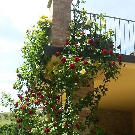 La Terrazza Sul Bosco *