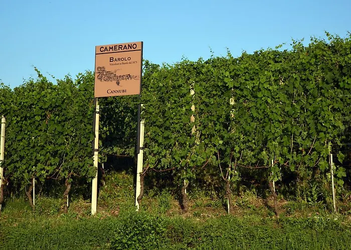 La Terrazza Sul Bosco Barolo