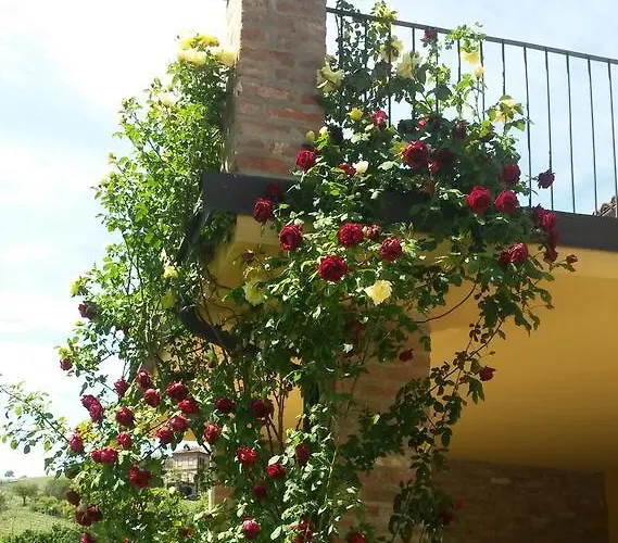 La Terrazza Sul Bosco *